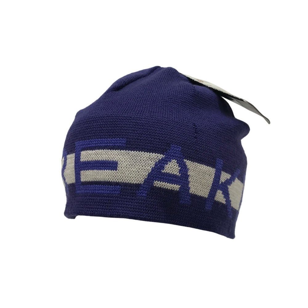 Icebreaker Merino Wool Beanie Hat Blue Grey Logo One Size 5660